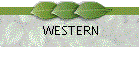 WESTERN